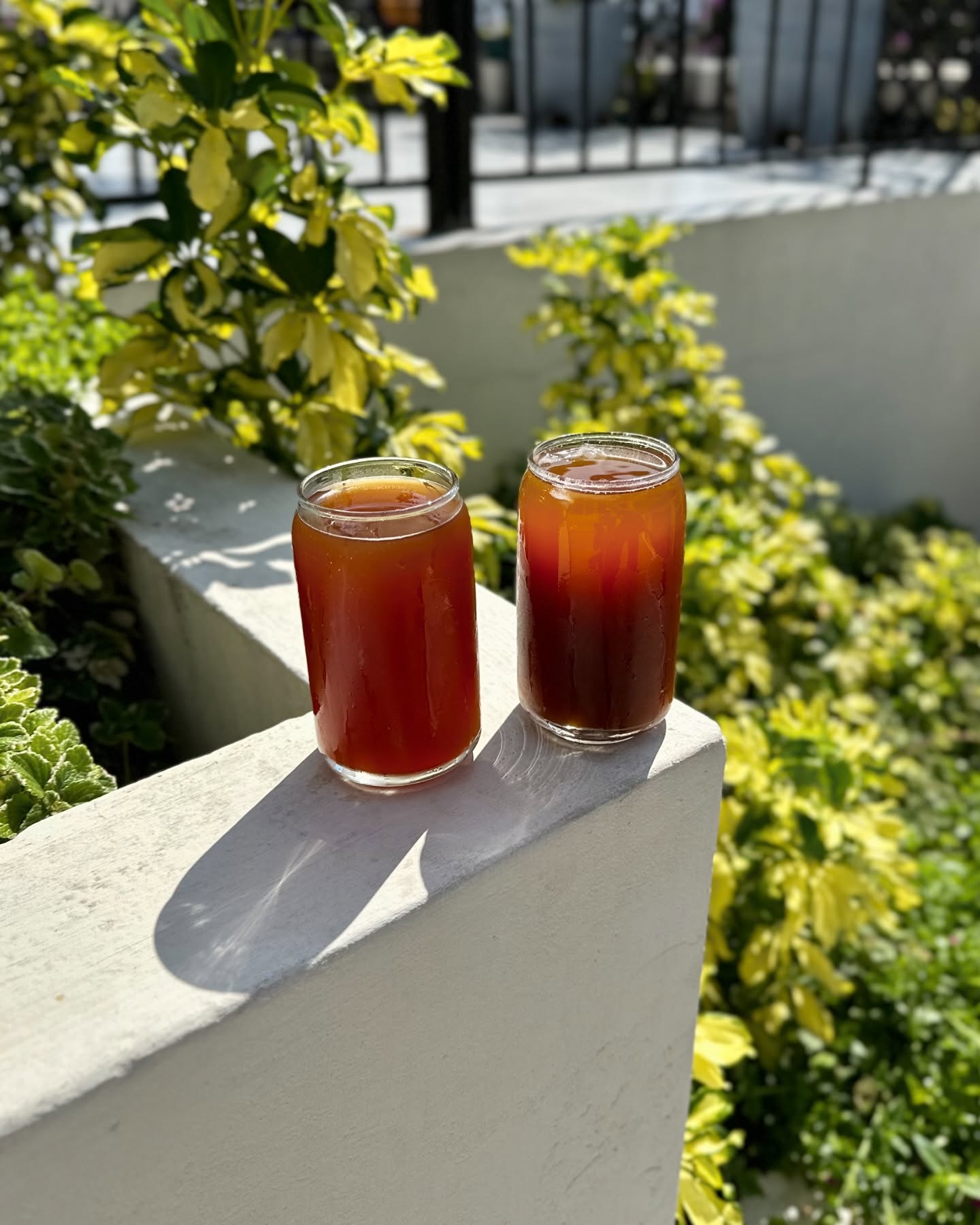 Drinks at Cafe 61